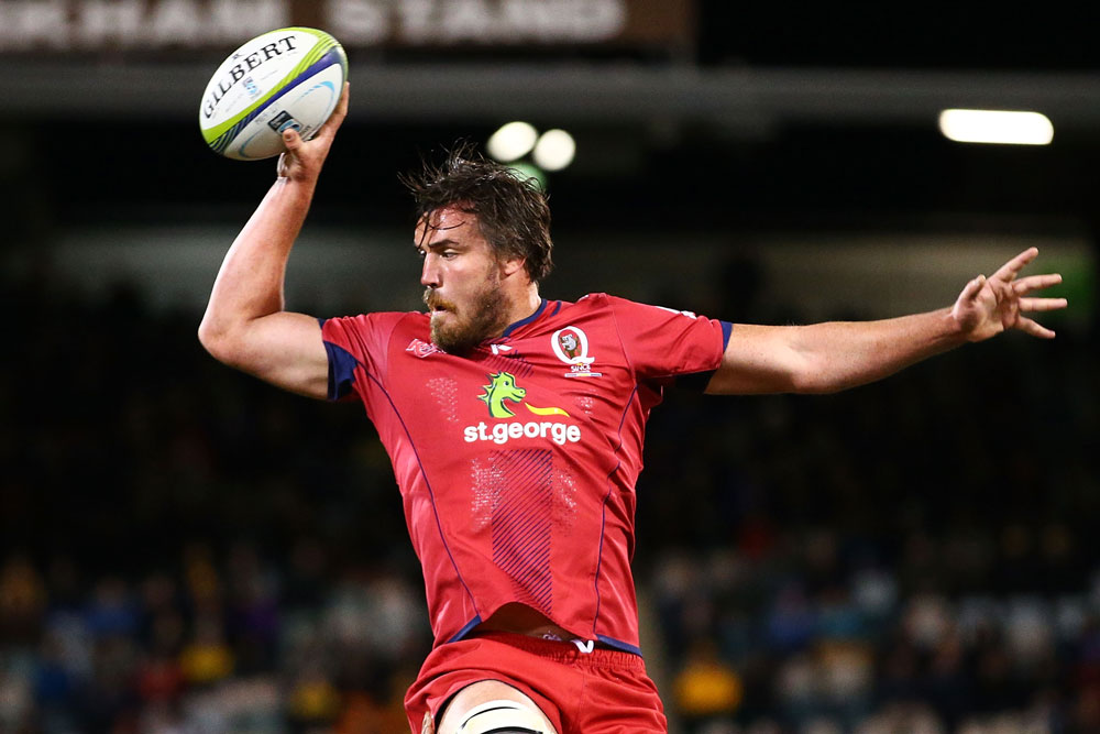 Douglas pushing for Wallabies return