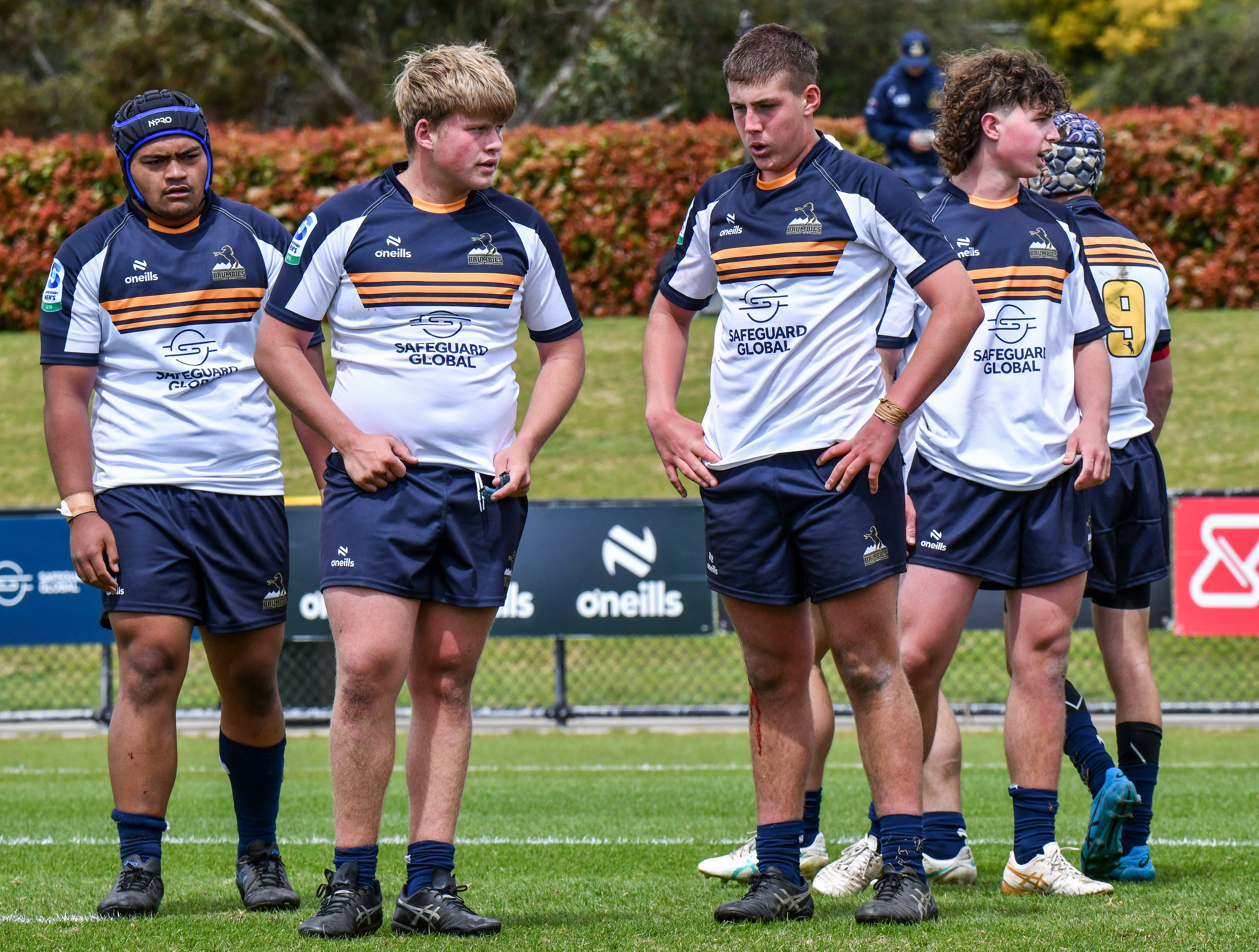 brumbies.rugby