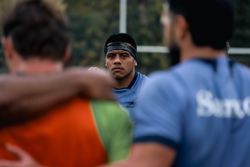 new-skipper-new-energy-drives-wallabies