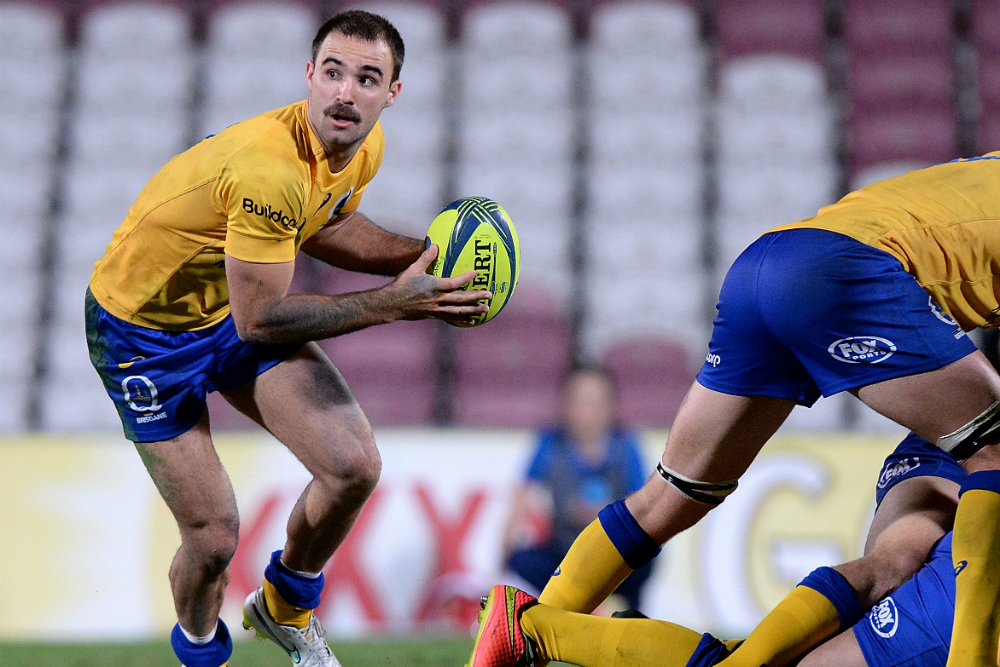 NRC Championship winning halves return for Brisbane City