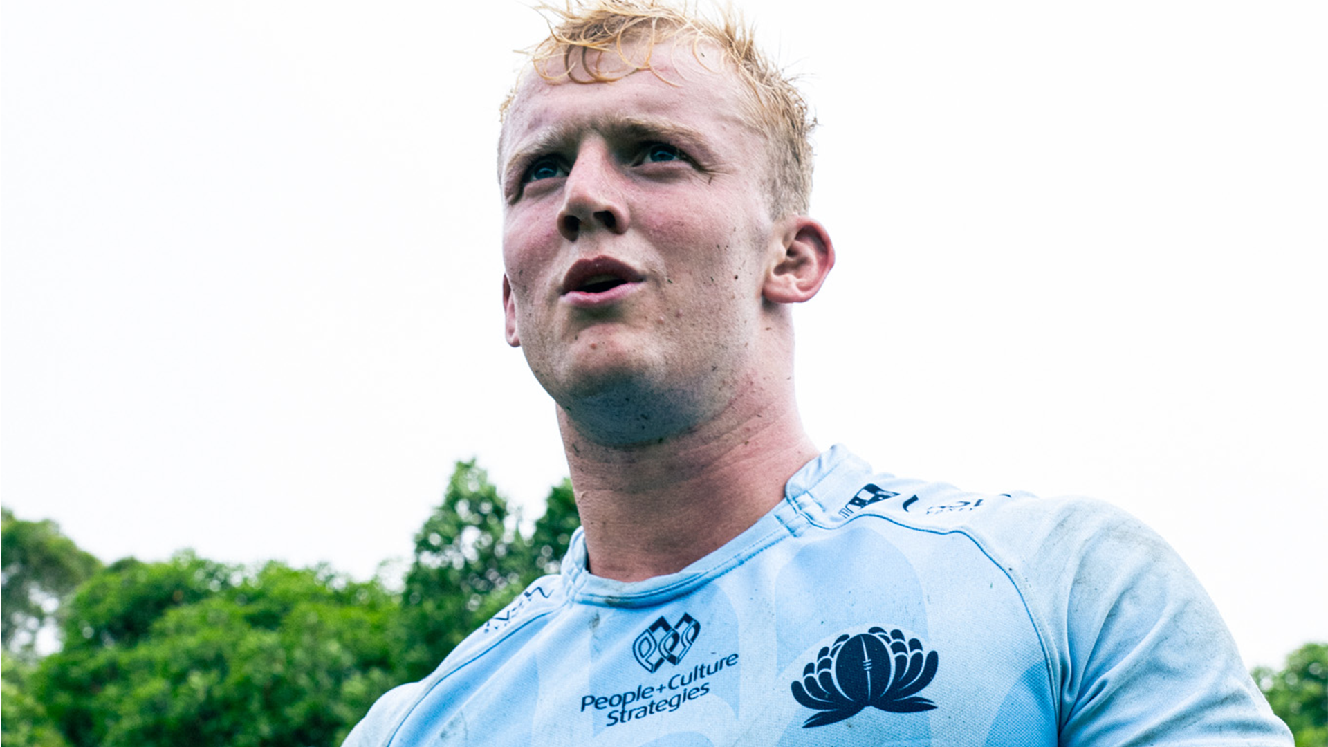 NSW Waratahs Sign Shute Shield Premiership Winning Player