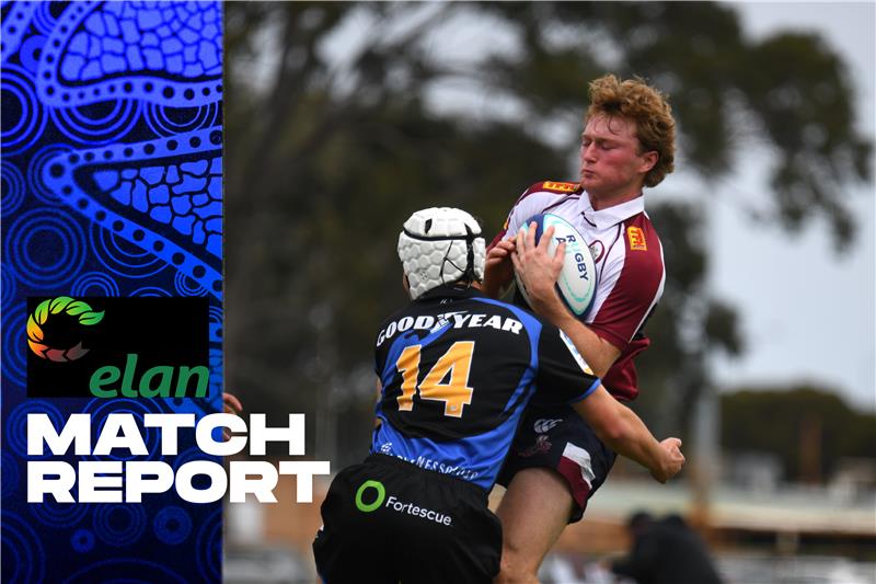westernforce.rugby