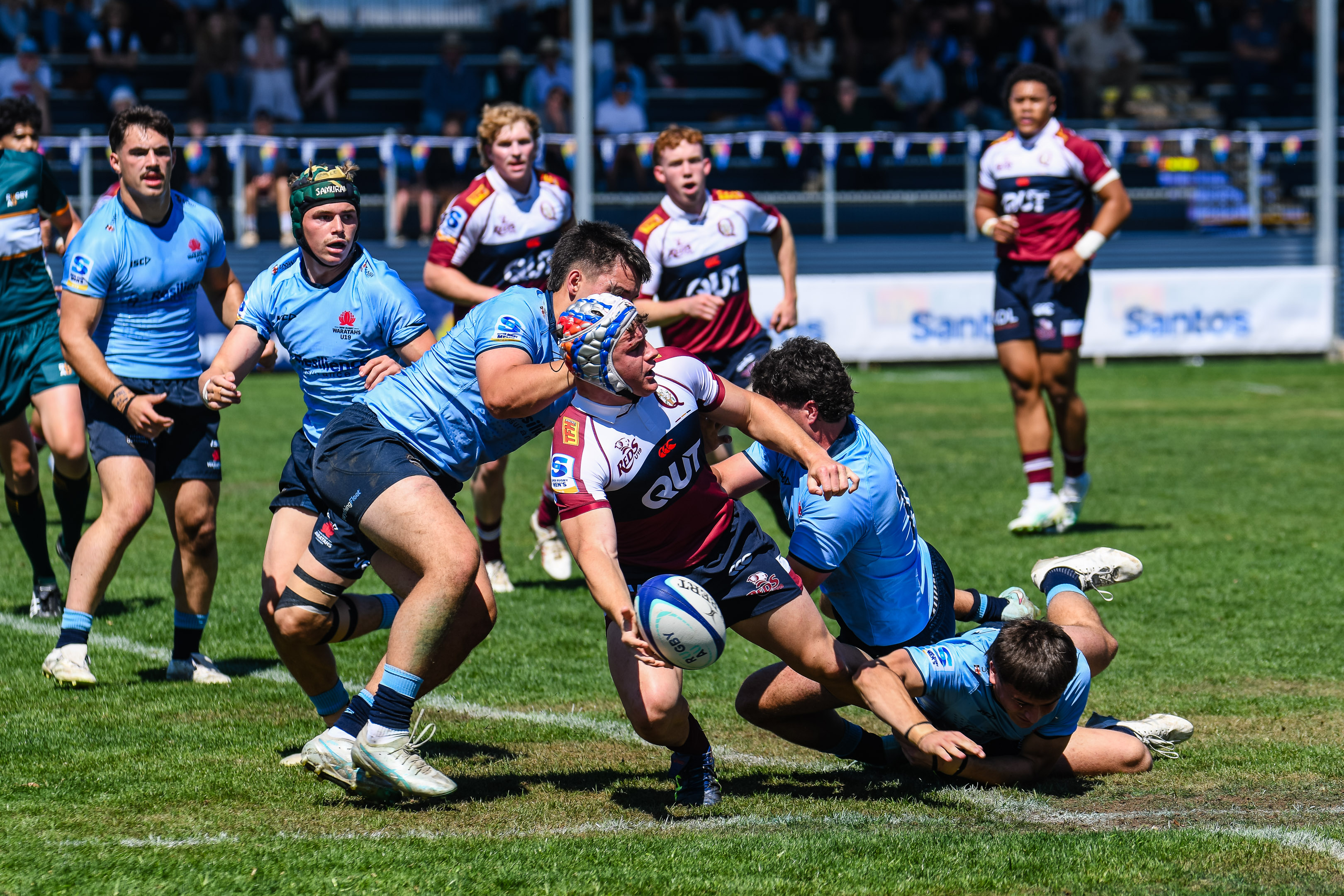 Queensland Reds 2026 | Page 101 | Green & Gold Rugby