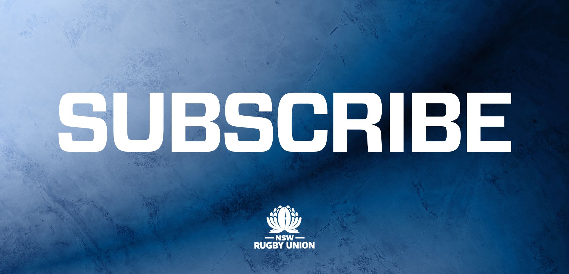 subscribe banner 2025