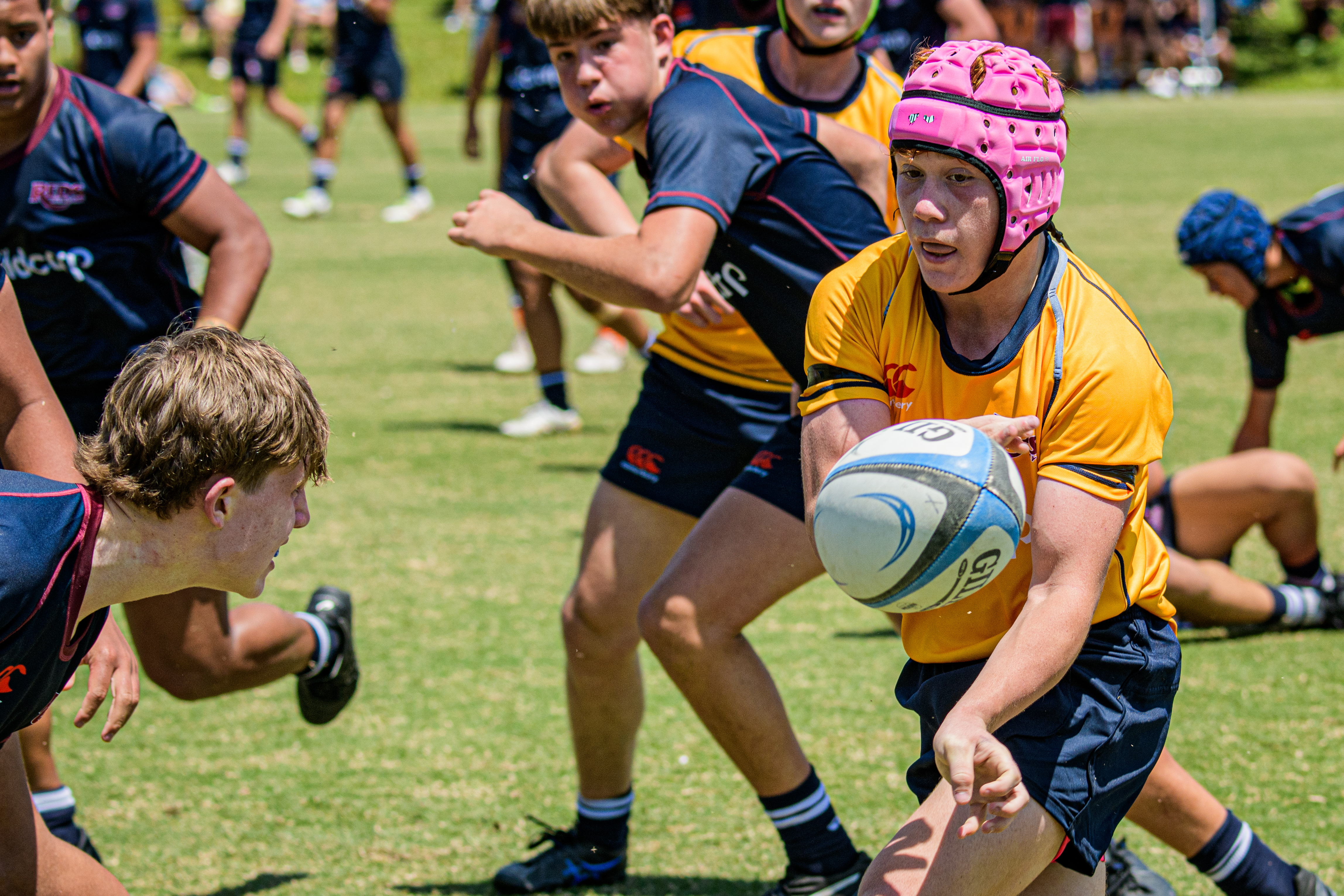 reds.rugby