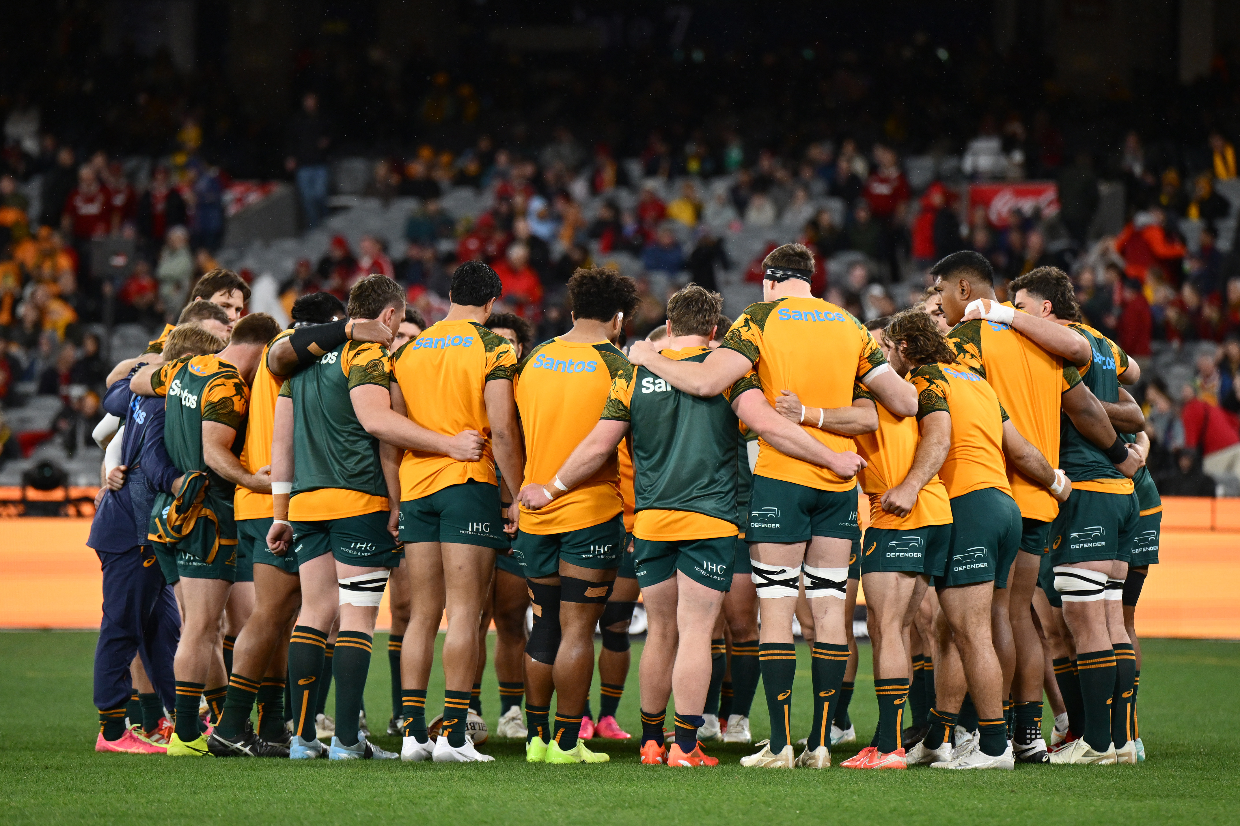 wallabies.rugby