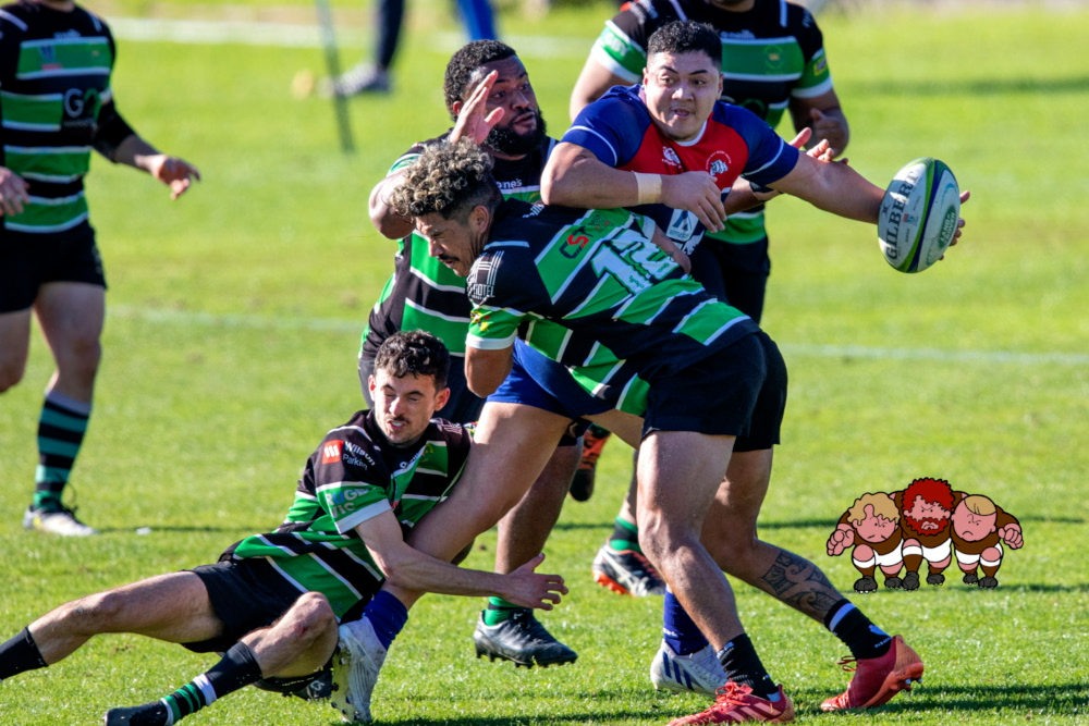 Round 6 Dewar Shield Preview