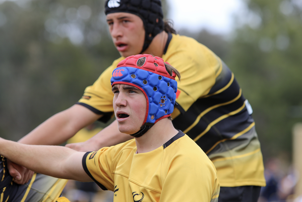 RugbyWA Junior state team results