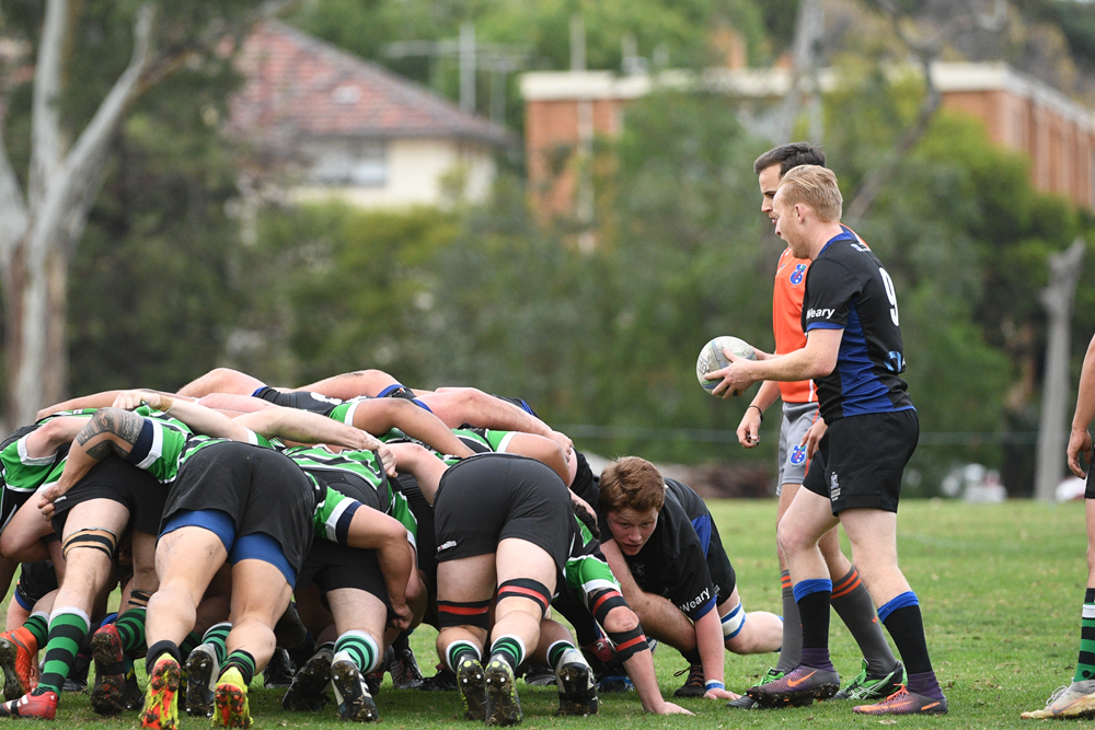 Brighton Renault Dewar Shield Match of the Round Preview - Round 13