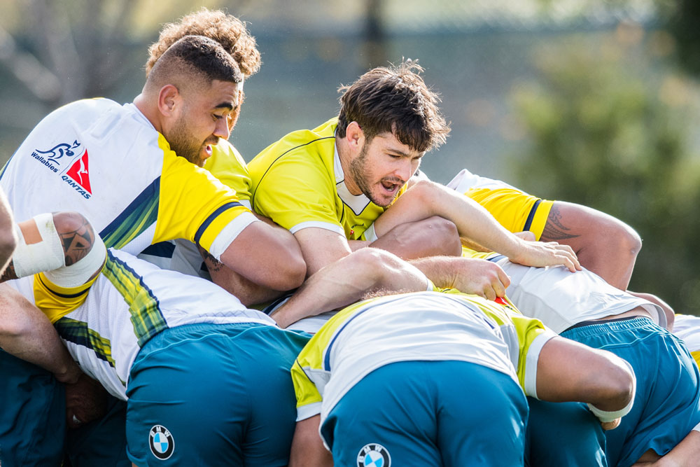 Sam Carter has been recalled to the Wallabies' starting team. Photo: RUGBY.com.au/Stuart Walmsley