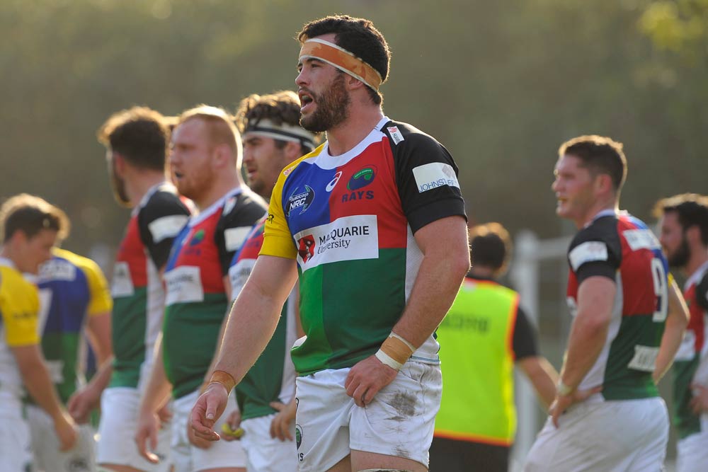 NRC: Profile: North Harbour Rays fullback Reece Hodge