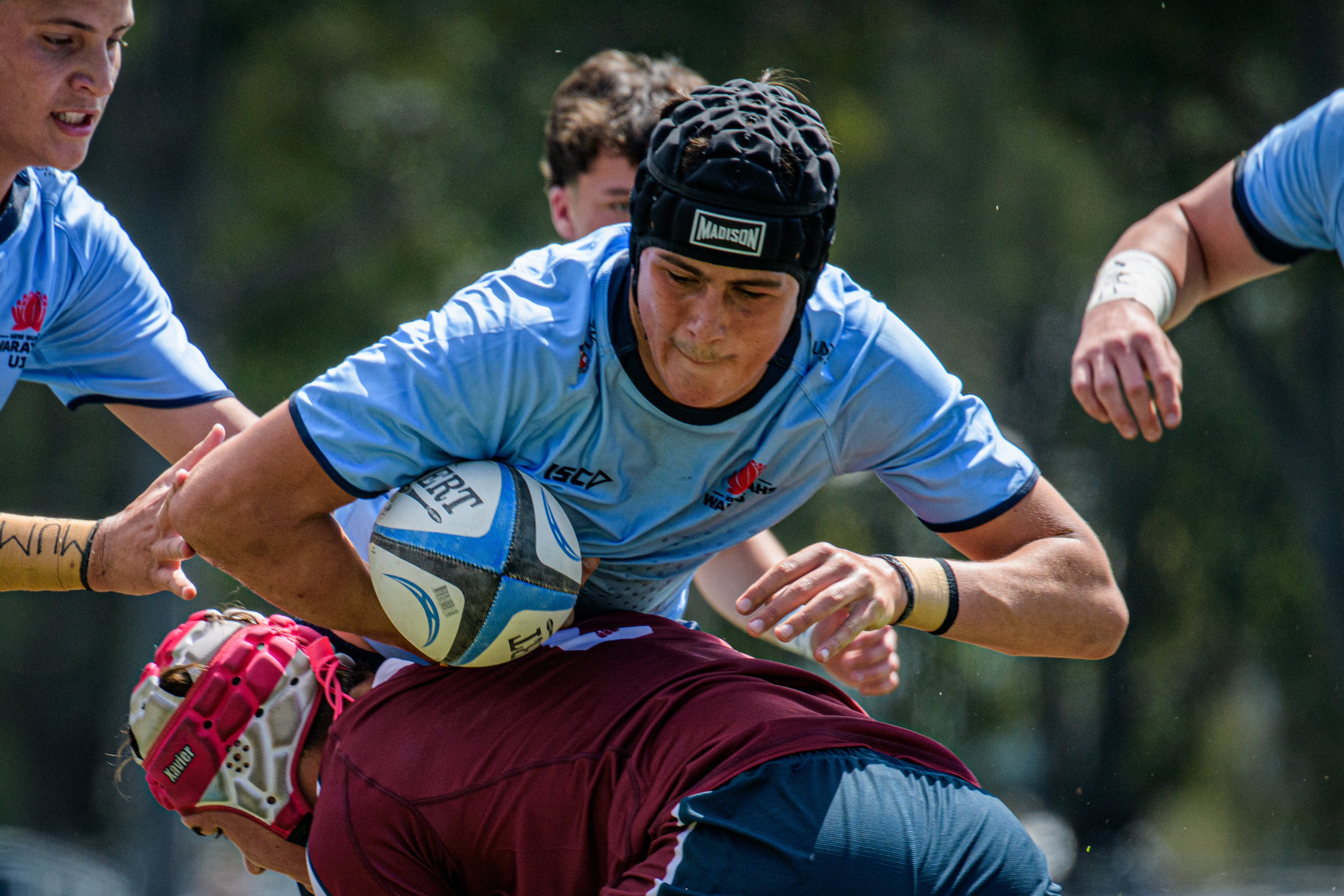 waratahs.rugby
