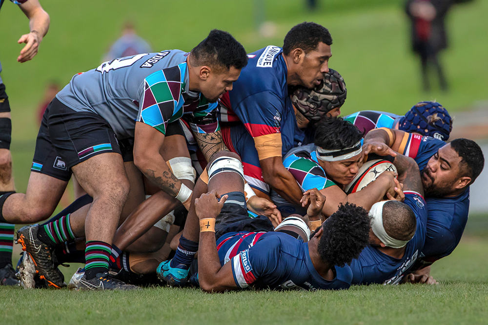Brighton Renault Dewar Shield Match of the Round Preview - Round 14