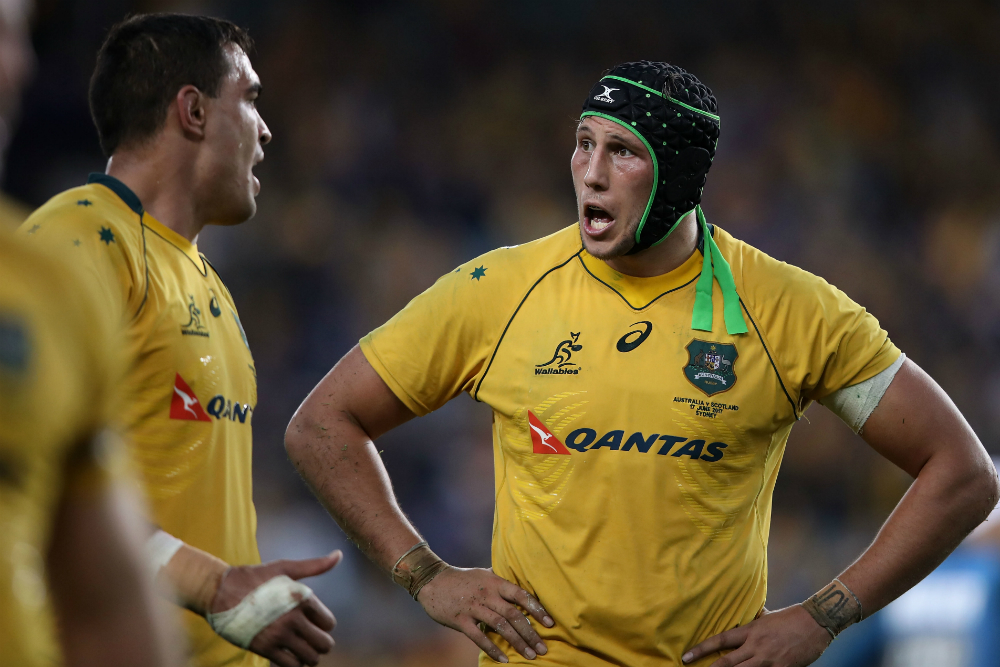 Coleman may start alongside Rory Arnold on Saturday. Photo: RUGBY.com.au/Stuart Walmsley